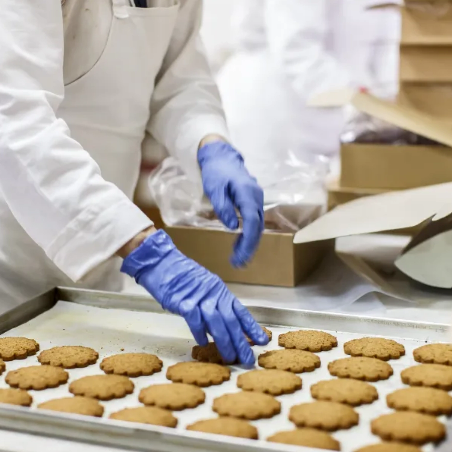 Food Hygiene Course level 5 2 Food Hygiene Course level 5 2